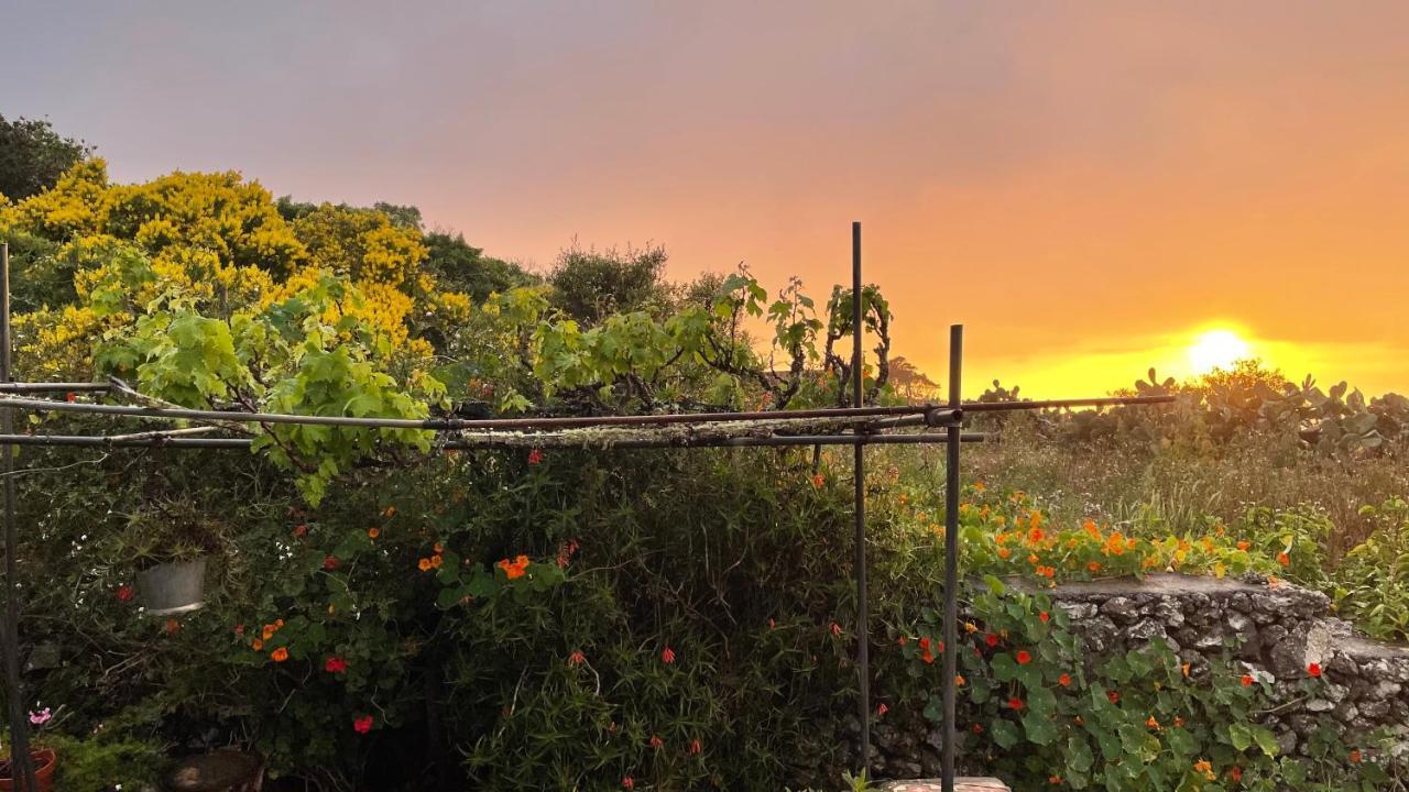 Erese Casa Rural Casa & Monte מראה חיצוני תמונה
